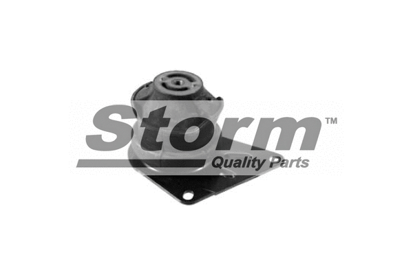 Support moteur STORM QUALITY PARTS F2488