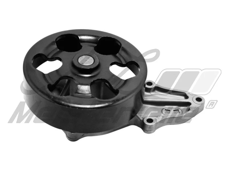 Pompe à eau, refroidissement du moteur A.Z. Meisterteile AZMT-30-100-1462