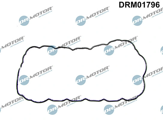 Joint, carter d'huile LIZARTE DRM01796