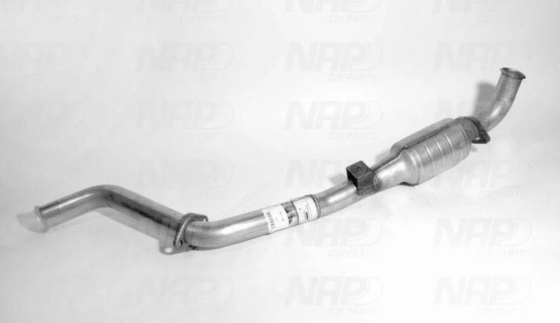 Catalyseur NAP carPARTS GmbH CAK10828