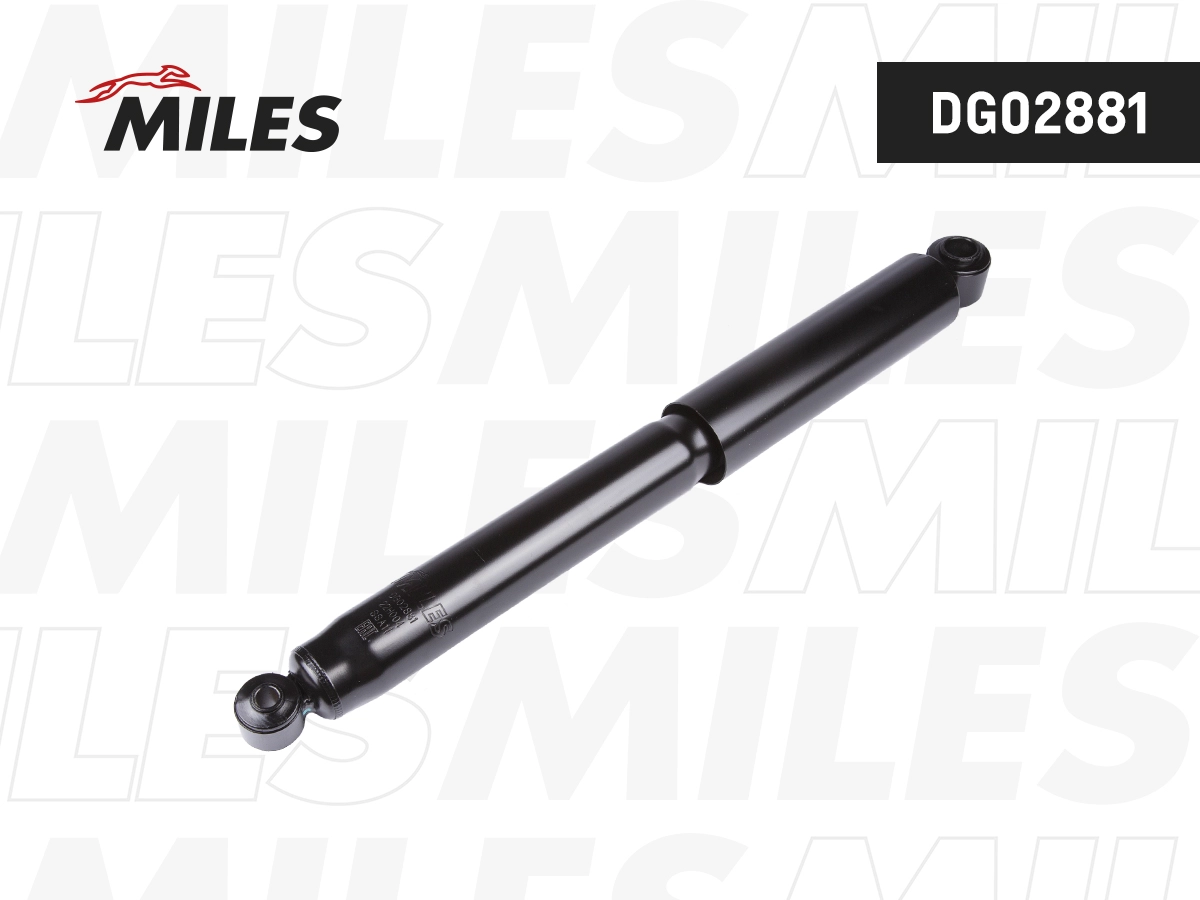 Amortisseur MILES DG02881