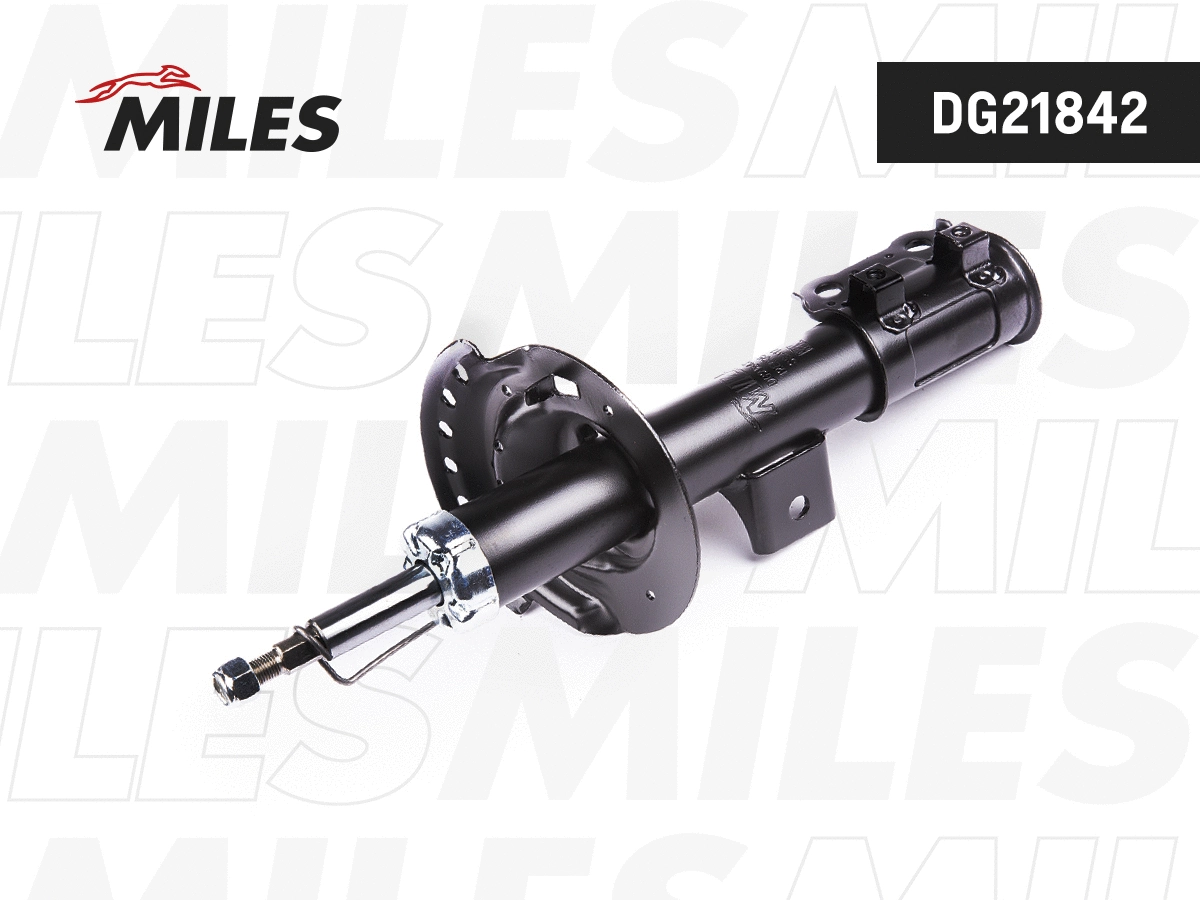Amortisseur MILES DG21842