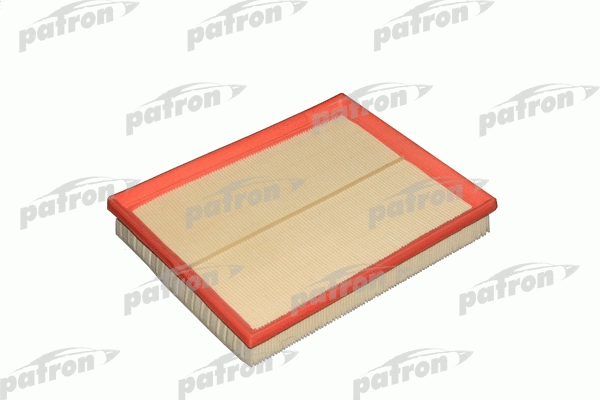 Filtre à air PATRON PF1079