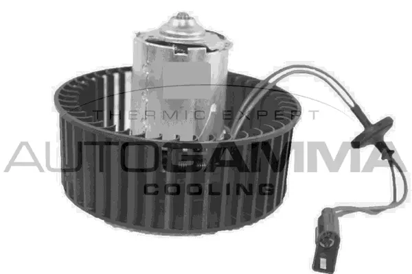 Pulseur d'air habitacle AUTOGAMMA GA34004