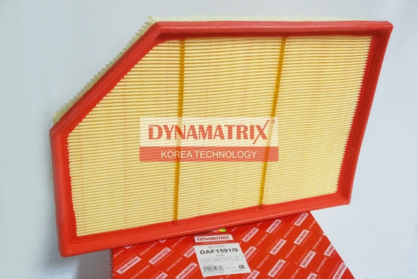 Filtre à air DYNAMATRIX DAF1591/9