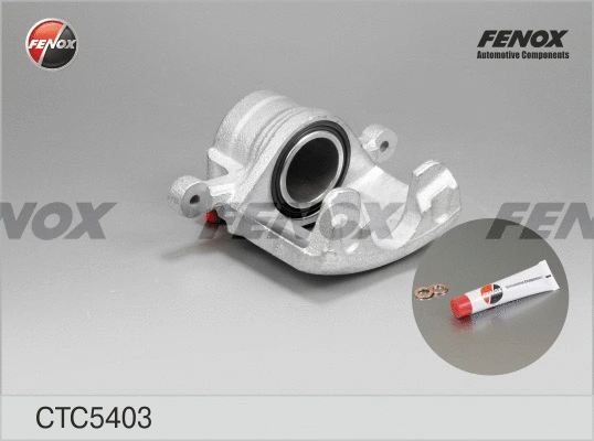 Jeu d'axes d'étriers de freins FENOX CTC5403