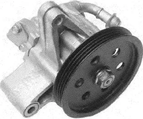 Pompe hydraulique, direction GENERAL RICAMBI PI0219