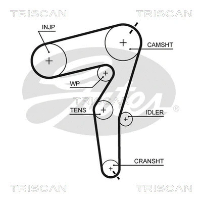 Courroie crantée TRISCAN 8645 5650XS
