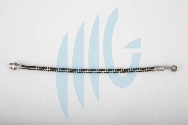 Flexible de frein RICAMBIFLEX GM 02160849