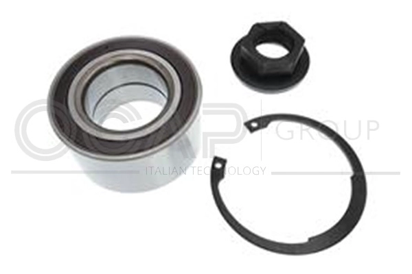 Kit de roulements de roue OCAP 6120114