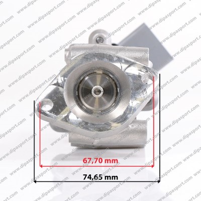 Vanne EGR DIPASPORT EGR029AN