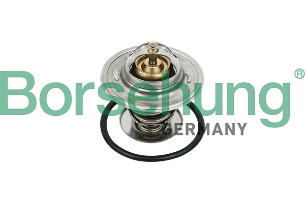 Thermostat, liquide de refroidissement Borsehung B18231