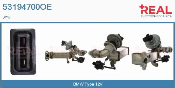 Module-EGR REAL 53194700OE
