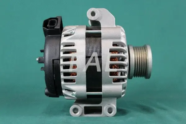 Alternateur FAL Anlasser- und Lichtmaschinenservice F012595/1