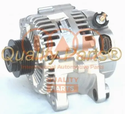 Alternateur IAP QUALITY PARTS 802-21053G