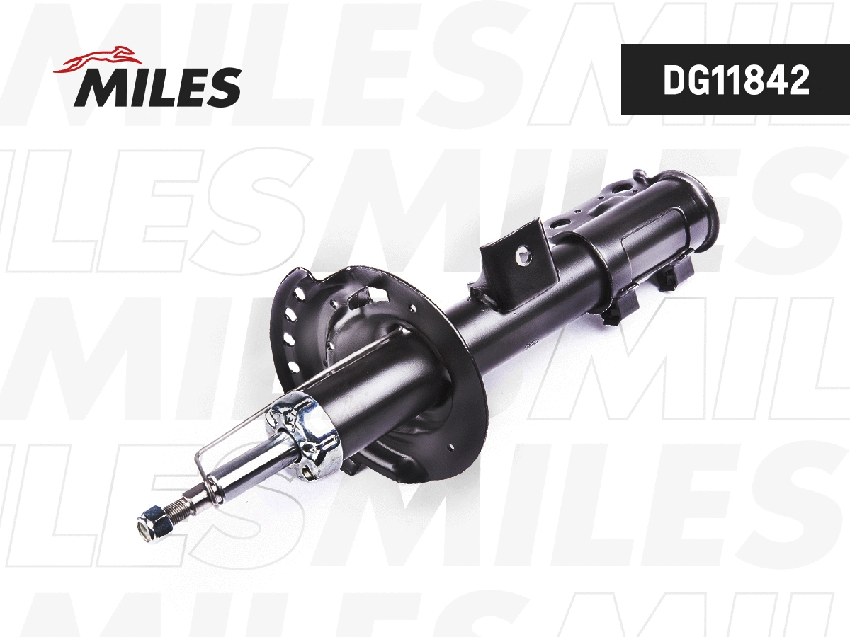 Amortisseur MILES DG11842