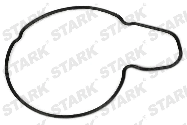 Pompe à eau, refroidissement du moteur Stark SKWP-0520145