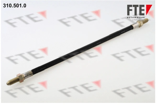 Flexible de frein FTE 9240159