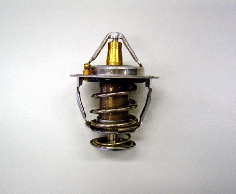 Thermostat, liquide de refroidissement BorgWarner (Wahler) 410176.82D0