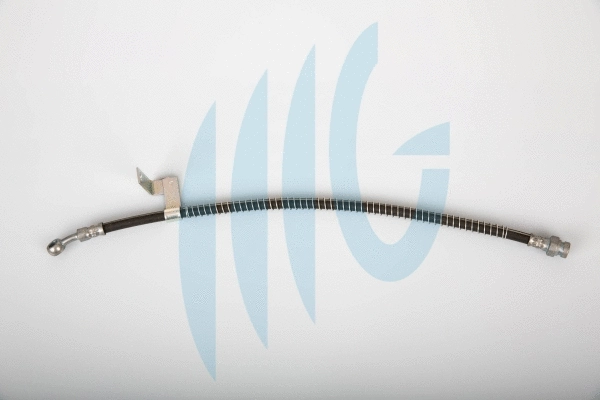 Flexible de frein RICAMBIFLEX GM 02160871