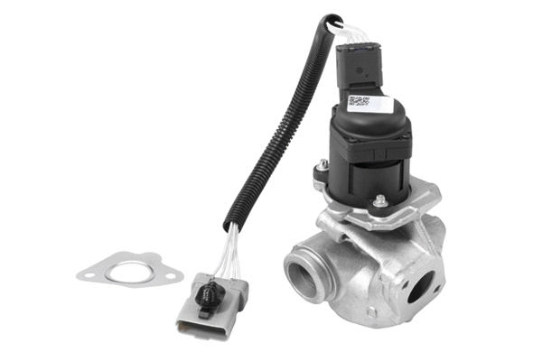 Vanne EGR BorgWarner 710936R