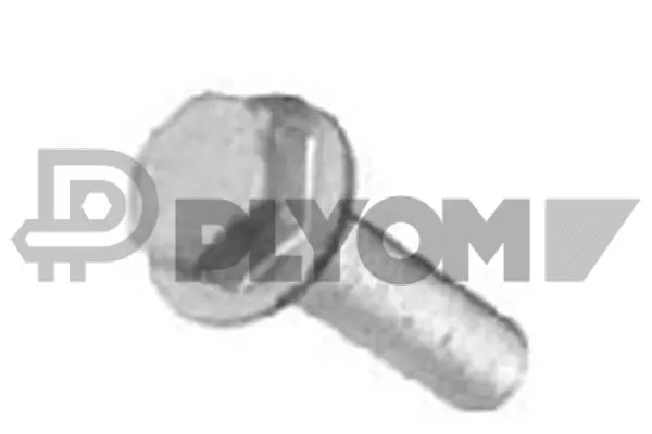 Vis de poulie PLYOM P757038