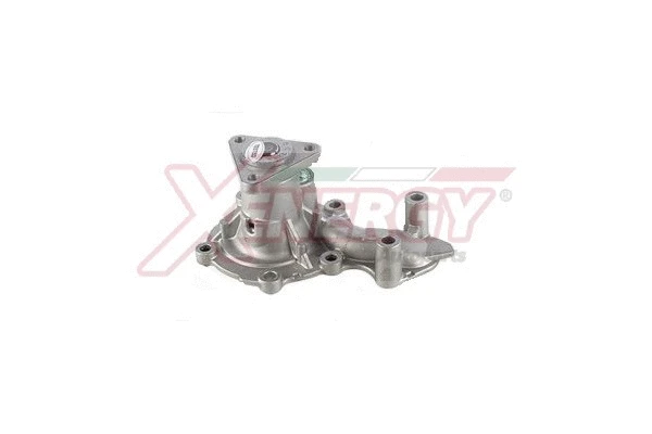 Pompe à eau, refroidissement du moteur AP XENERGY X207392