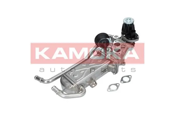 Module-EGR KAMOKA 19070
