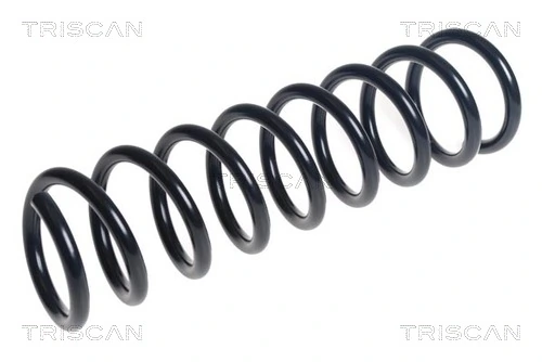 Ressort de suspension TRISCAN 8750 16144
