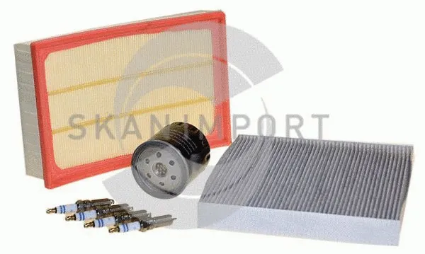 Kit de filtres SKANIMPORT SK-V50-1