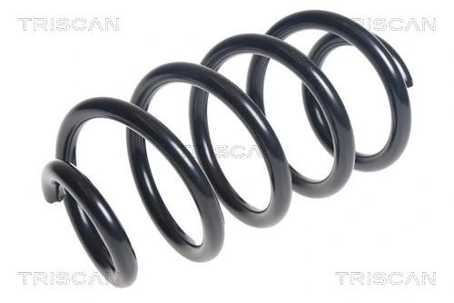 Ressort de suspension TRISCAN 8750 25112