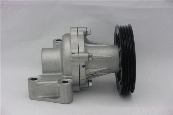 Pompe à eau, refroidissement du moteur GMB GWT-117AH