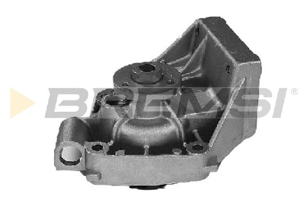 Pompe à eau, refroidissement du moteur BREMSI WP0003