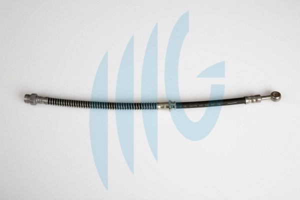 Flexible de frein RICAMBIFLEX GM 02160919