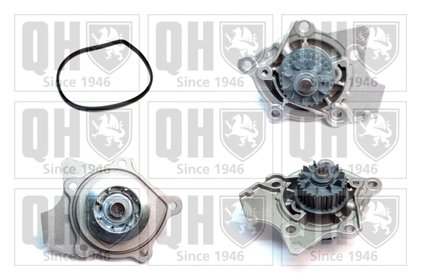 Pompe à eau, refroidissement du moteur QUINTON HAZELL QCP3856