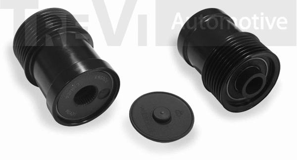 Poulie roue libre, alternateur TREVI AUTOMOTIVE AP1096