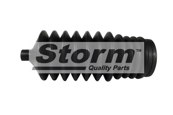 Jeu de joints-soufflets, direction STORM QUALITY PARTS F0498