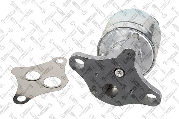 Vanne EGR STELLOX 01-25109-SX