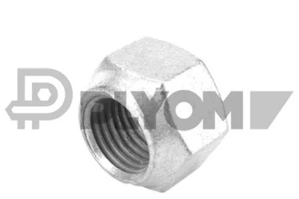 Écrou de roue PLYOM P769679