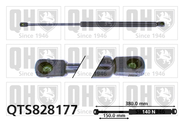 Vérin, vitre arrière QUINTON HAZELL QTS828177