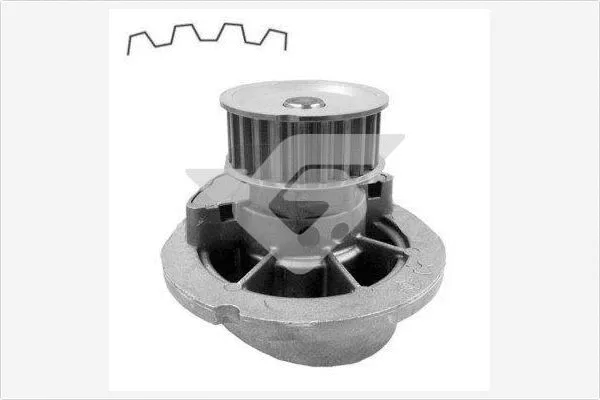 Pompe à eau, refroidissement du moteur HUTCHINSON WP0074V