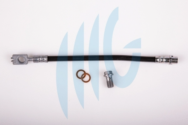 Flexible de frein RICAMBIFLEX GM 02020116