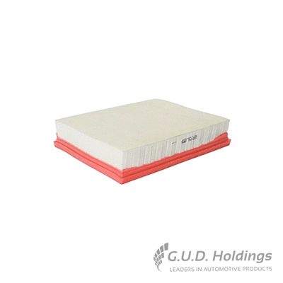 Filtre à air GUD AG1806