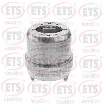 Support moteur ETS 31.EM.853