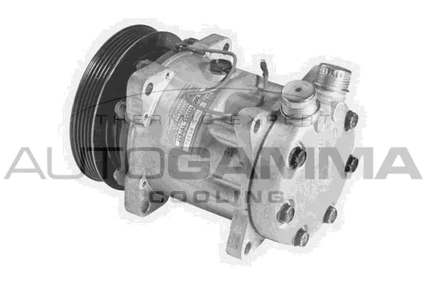 Compresseur, climatisation AUTOGAMMA 108218