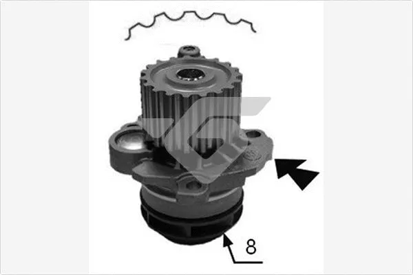 Pompe à eau, refroidissement du moteur HUTCHINSON WP79