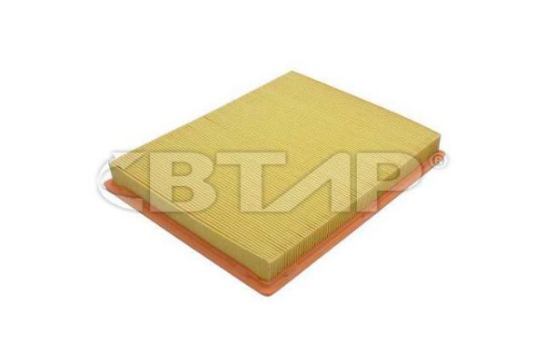 Filtre à air BTAP BBE301-014