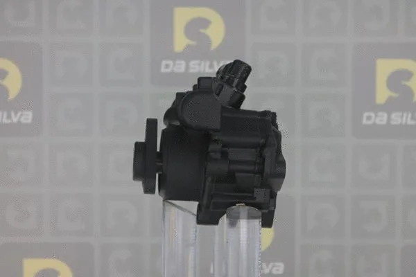 Pompe hydraulique, direction DA SILVA DP3197