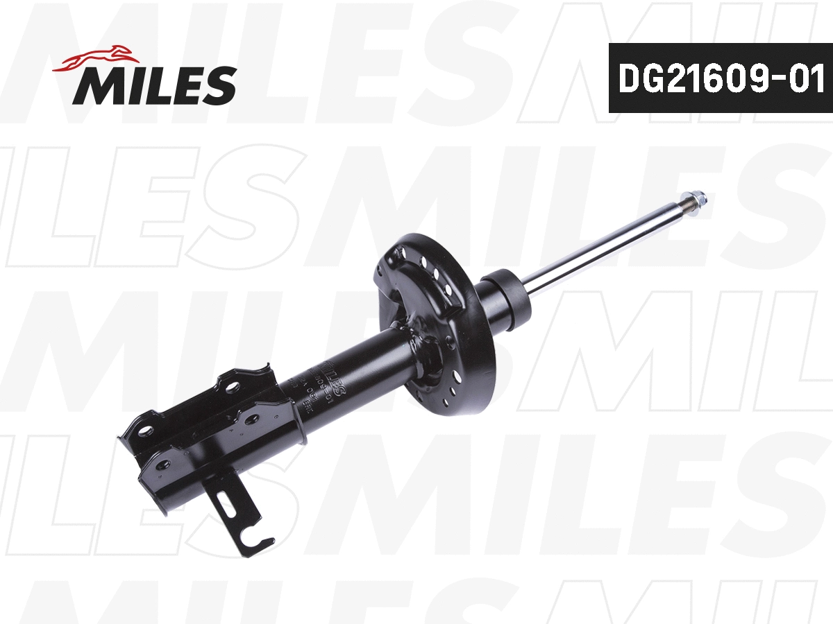 Amortisseur MILES DG21609-01