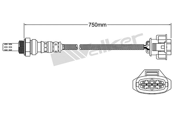 Sonde lambda VEGAZ GmbH ULS-180